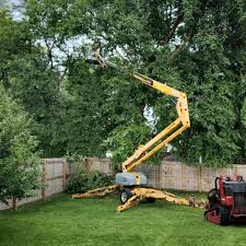 Best Commercial Tree Services  in Mahanoy City, PA